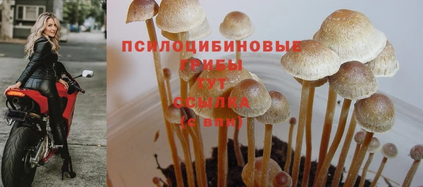 каннабис Алзамай