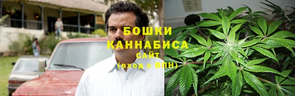 дурь Новозыбков